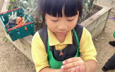 Gardening