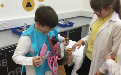 Year 6’s visit to the Centre for Life