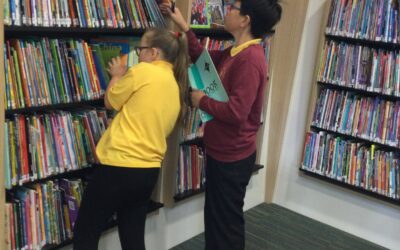 Libraries Week in Year 6