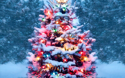 Christmas Performance 2022