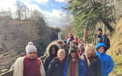 Year 3 at High Force