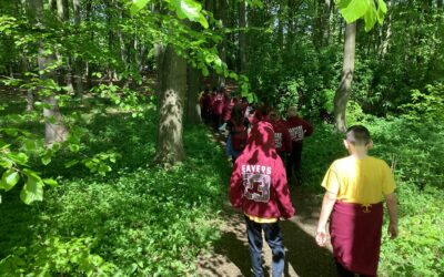Gibside Mental Health and Wellbeing Day