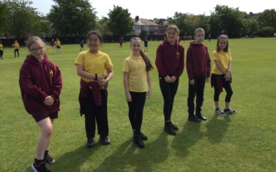 Year 6 countdown cricket