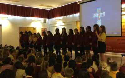 Leavers assembly