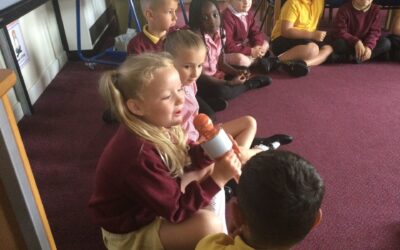 Transition – Year 1 to Year 2