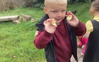 Forest School Friday
