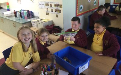 The Digestive System in Year 4