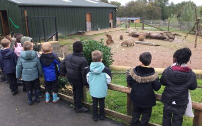 Northumberland Zoo