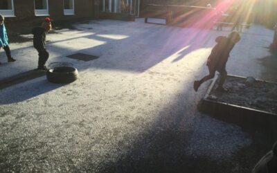 Winter Snow