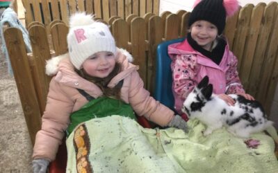 Fabulous Farm Fun!