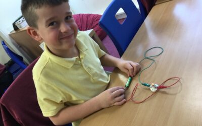 Conductor or Insulator ?