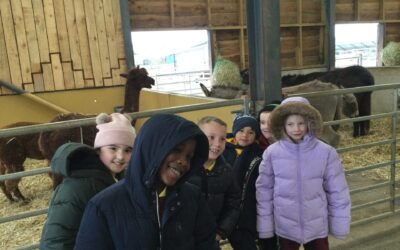 Year 2 Trip to Northumberland Zoo