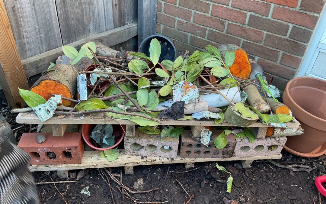 Bug Hotel