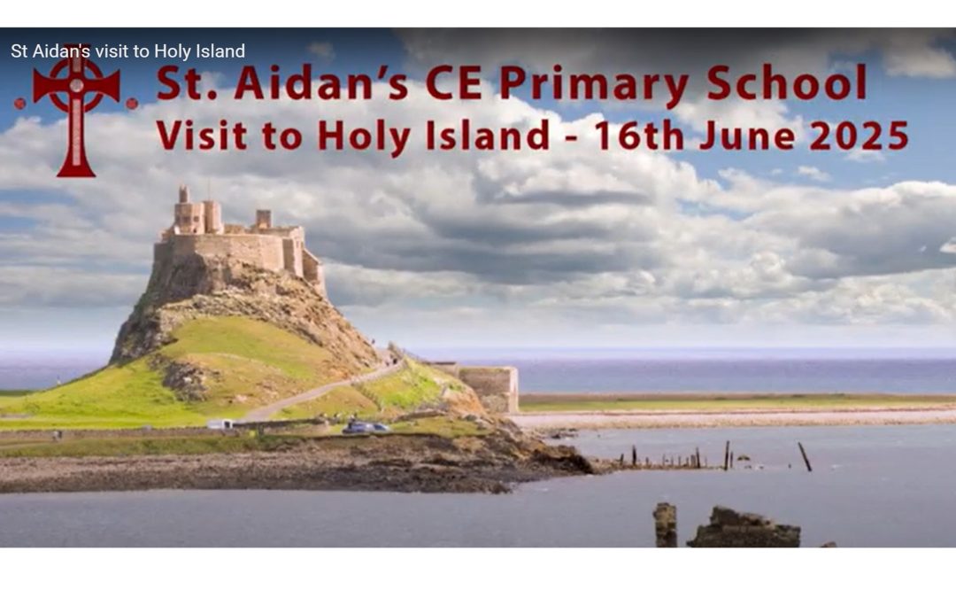 Holy Island Highlights
