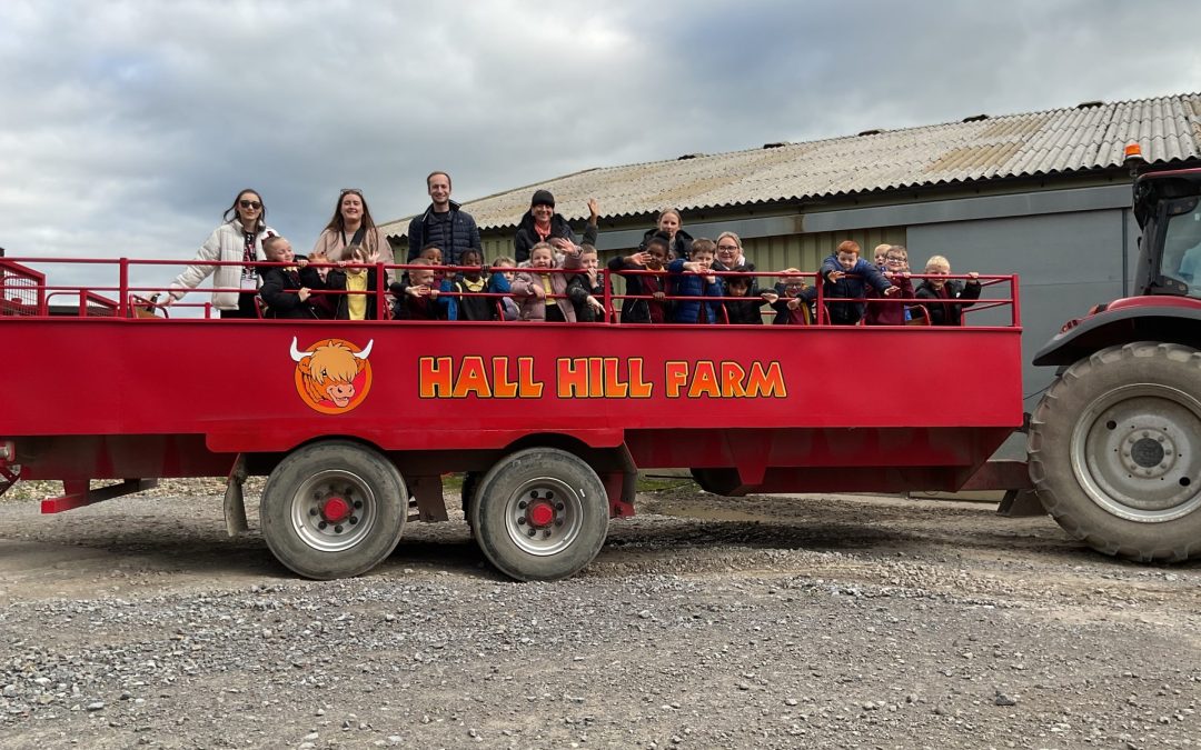 Year One: Hall Hill Farm