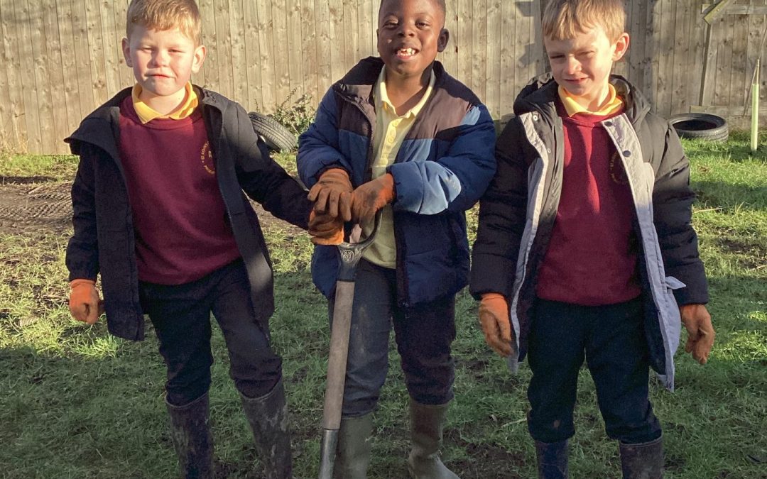 Tree Planting