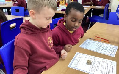 Mi animal favorito es …