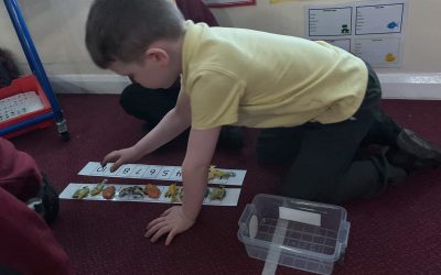 Counting Collections