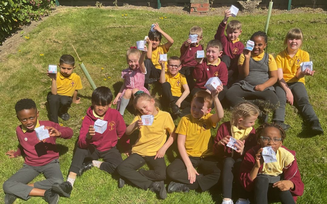Wellbeing Cubes