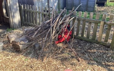 Forest School After-School Club