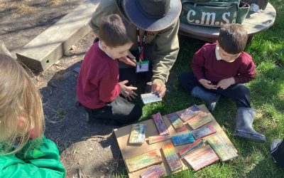 Forest School Thursdays