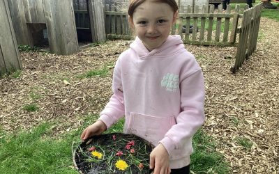 Forest School Adventures
