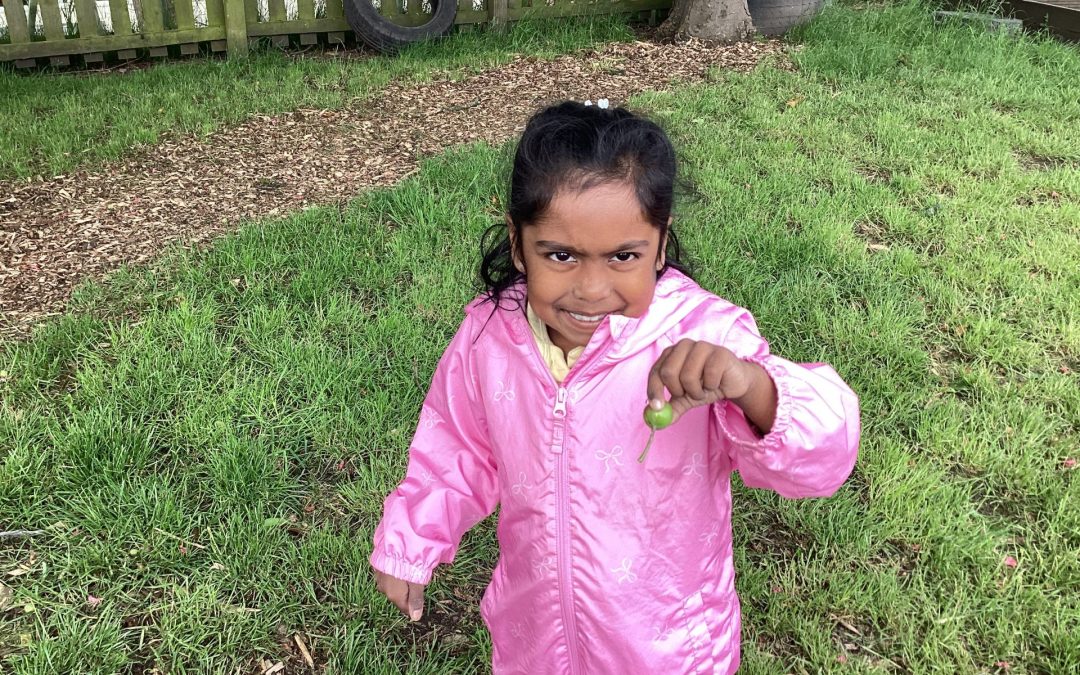 EYFS – Forest School