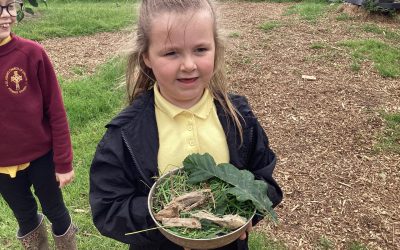 Forest School After School Club