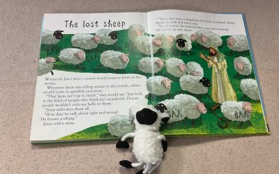 We are Special! – The Lost Sheep