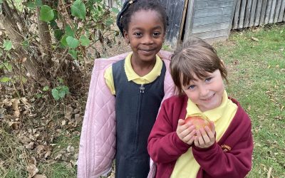 KS1 – After School Club – Forest School