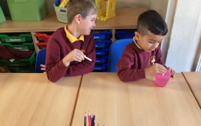 Science – The 5 Senses