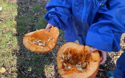 Welly Wednesday Harvest Fun!