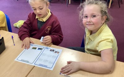 Geography Review
